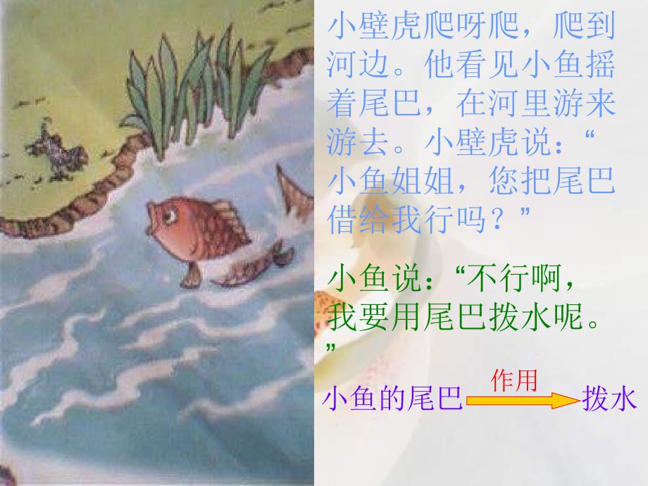 小壁虎借尾巴课件_第3页