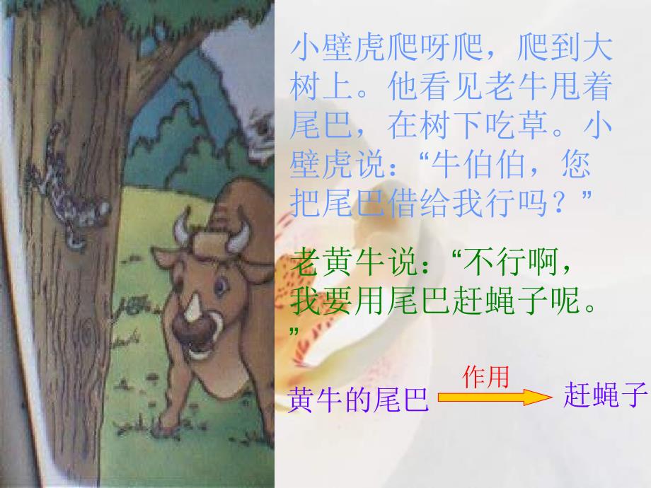 小壁虎借尾巴课件_第4页