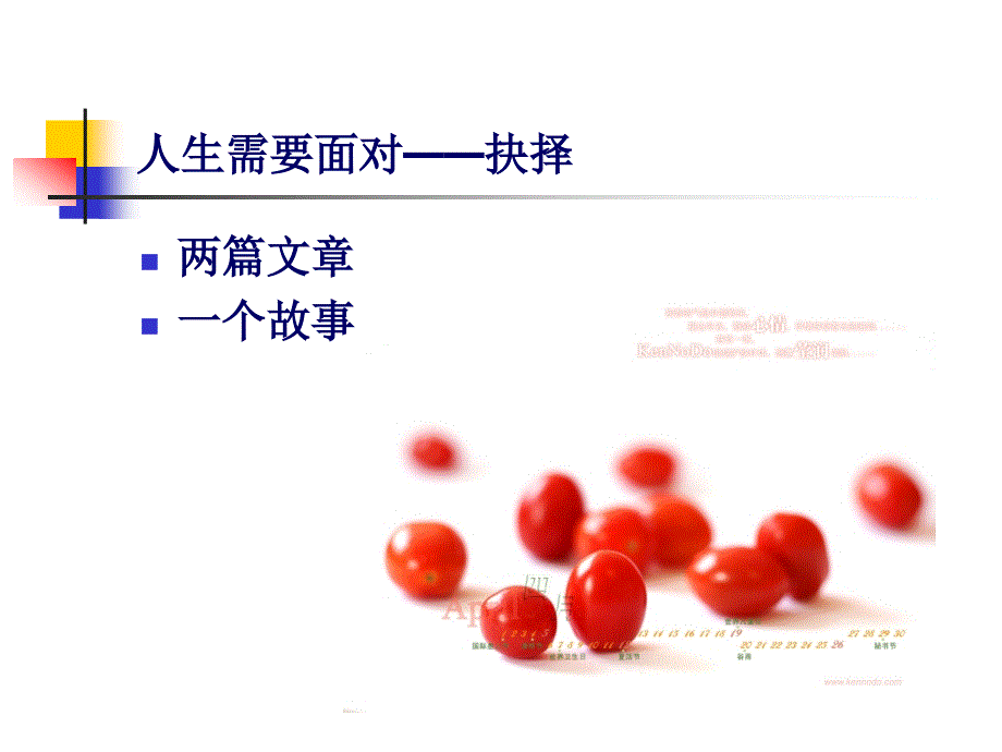 乘着梦想的翅膀飞翔.ppt_第2页