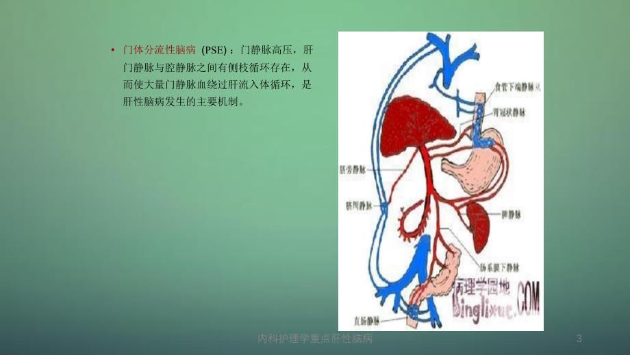 内科护理学肝性脑病_第3页