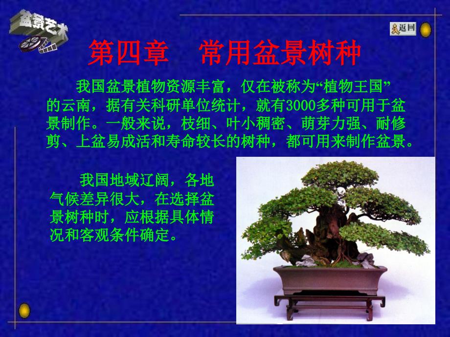 盆景常用树种及山水盆景的制作.ppt_第1页