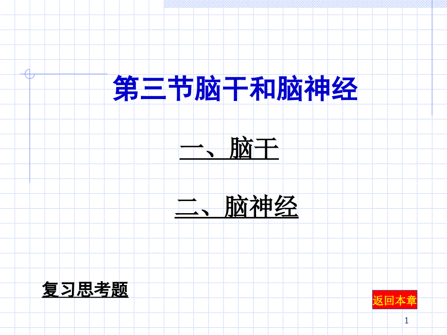 脑干和脑神经_第1页