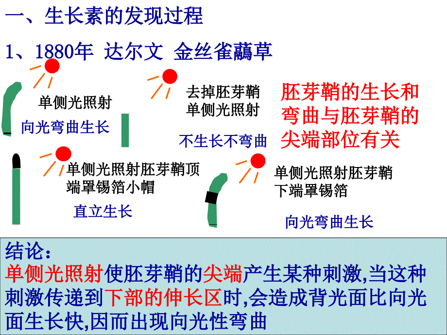 《植物生长素发现》PPT课件_第3页