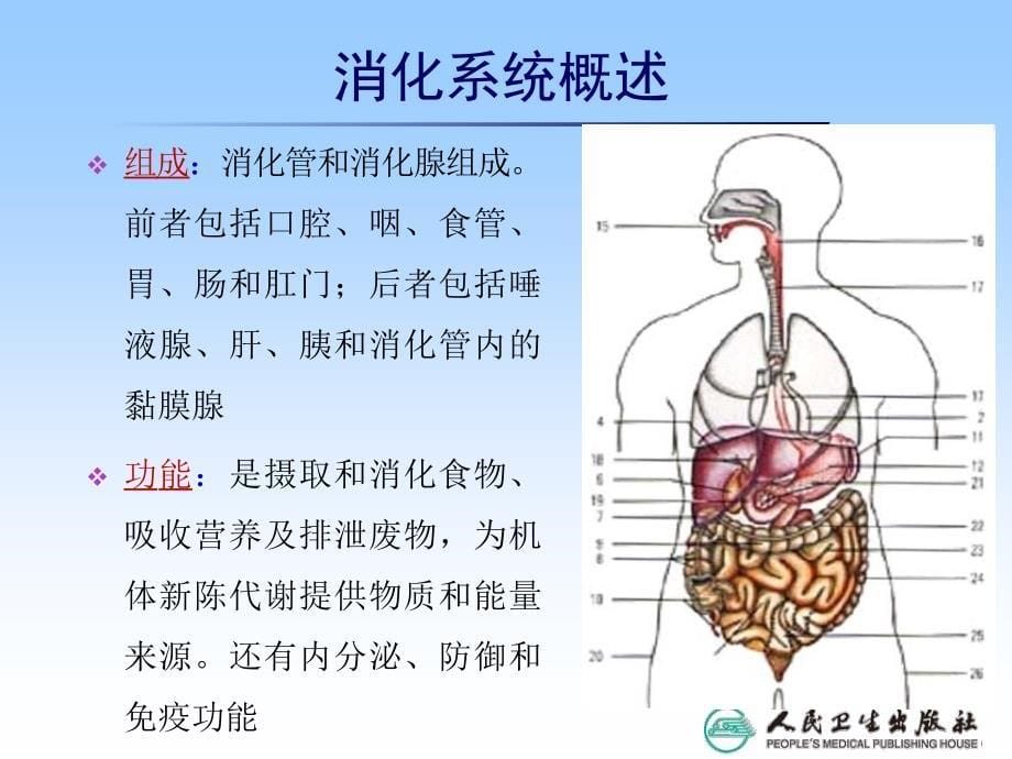 消化系统疾病常见症状体征的护理_第5页