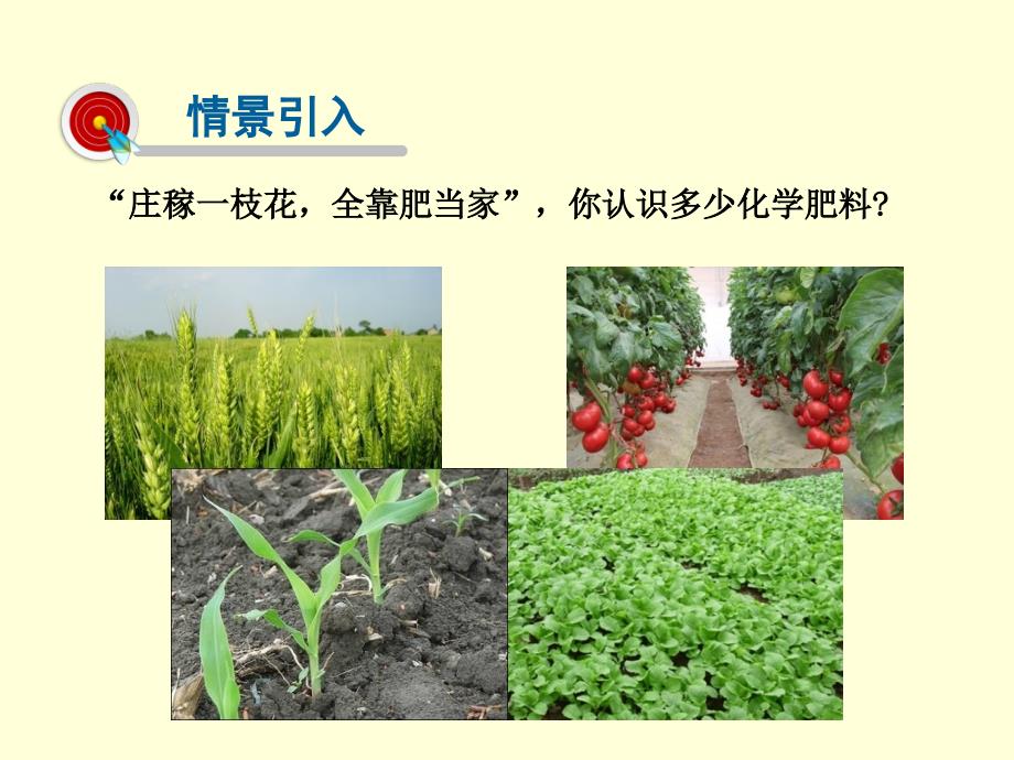 第11单元 课题2化学肥料_第2页