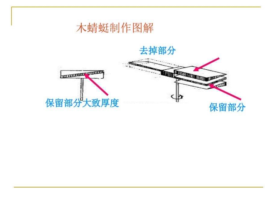 五年级木蜻蜓_第5页