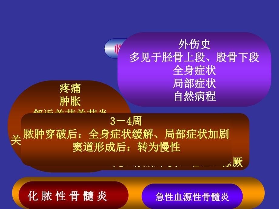 上海二医科大学附属金医院骨科教研组制作_第5页