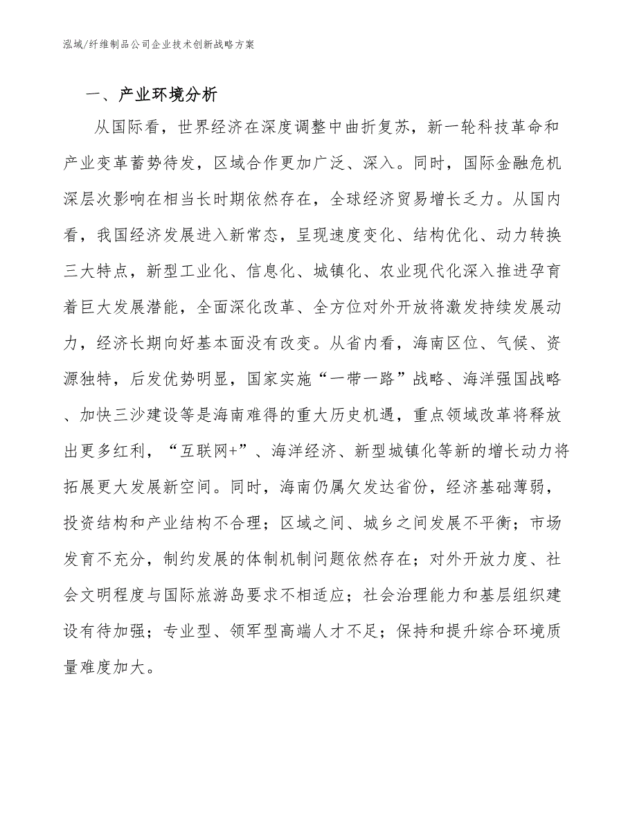 纤维制品公司企业技术创新战略方案【范文】_第2页