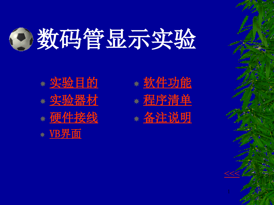 《数码管显示实验》PPT课件_第1页