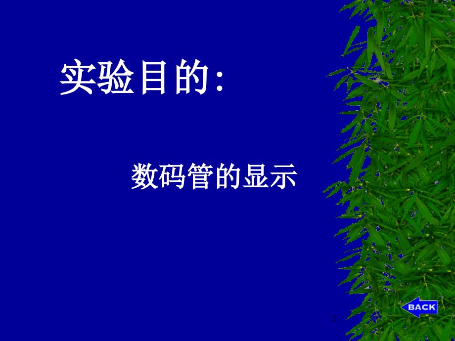 《数码管显示实验》PPT课件_第2页