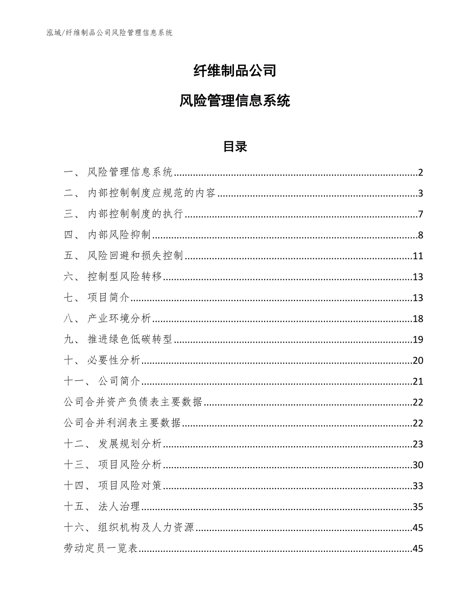 纤维制品公司风险管理信息系统（参考）_第1页