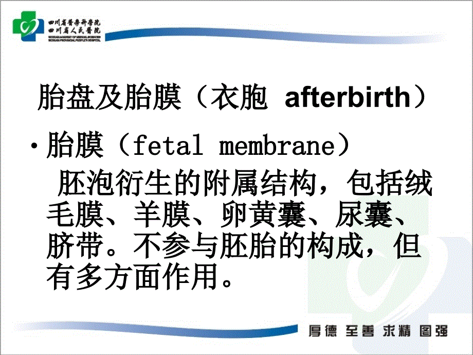 胎儿附属物超声 ppt课件_第3页