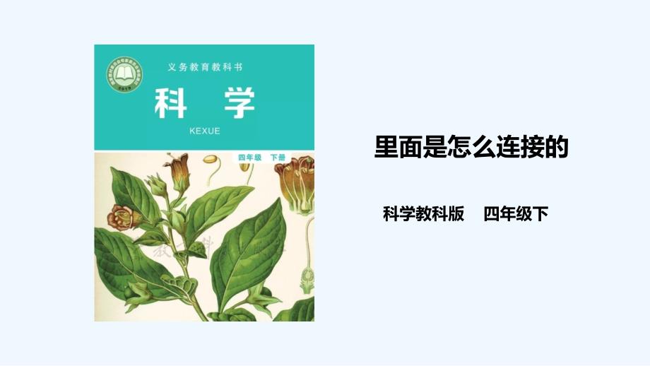 新教科版四年级下册科学2.5《里面是怎样连接的》课件_第1页