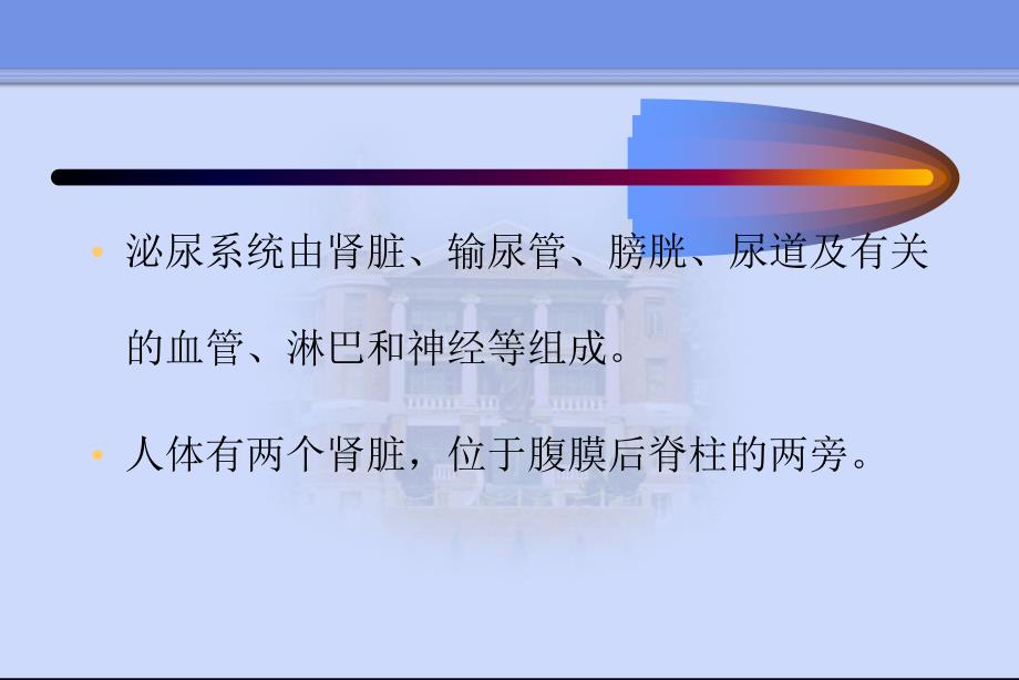 泌尿系统疾病总论肾小球疾病概述_第3页