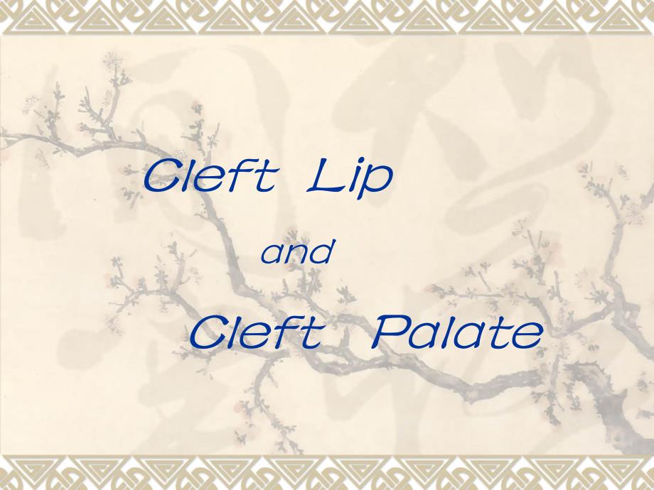 唇裂腭裂CLEFT LIP AND PALATE.ppt_第1页