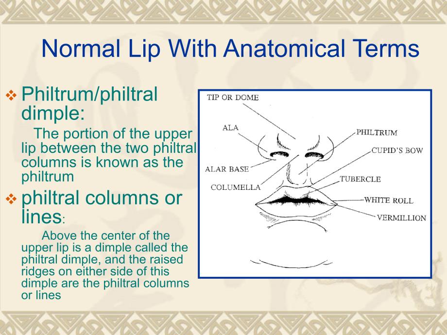 唇裂腭裂CLEFT LIP AND PALATE.ppt_第3页