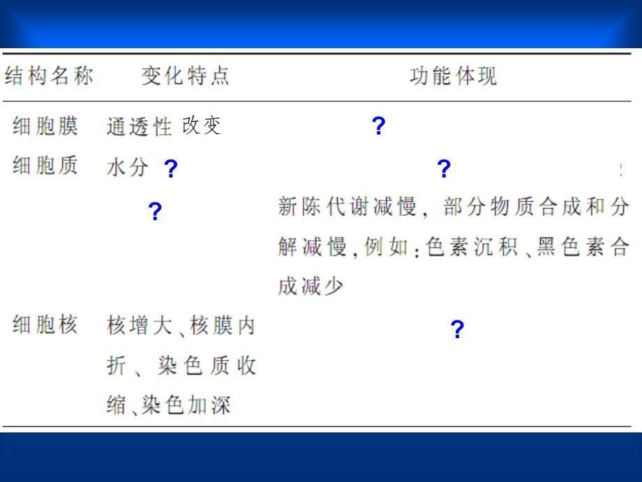 细胞衰老、凋亡和癌变_第5页