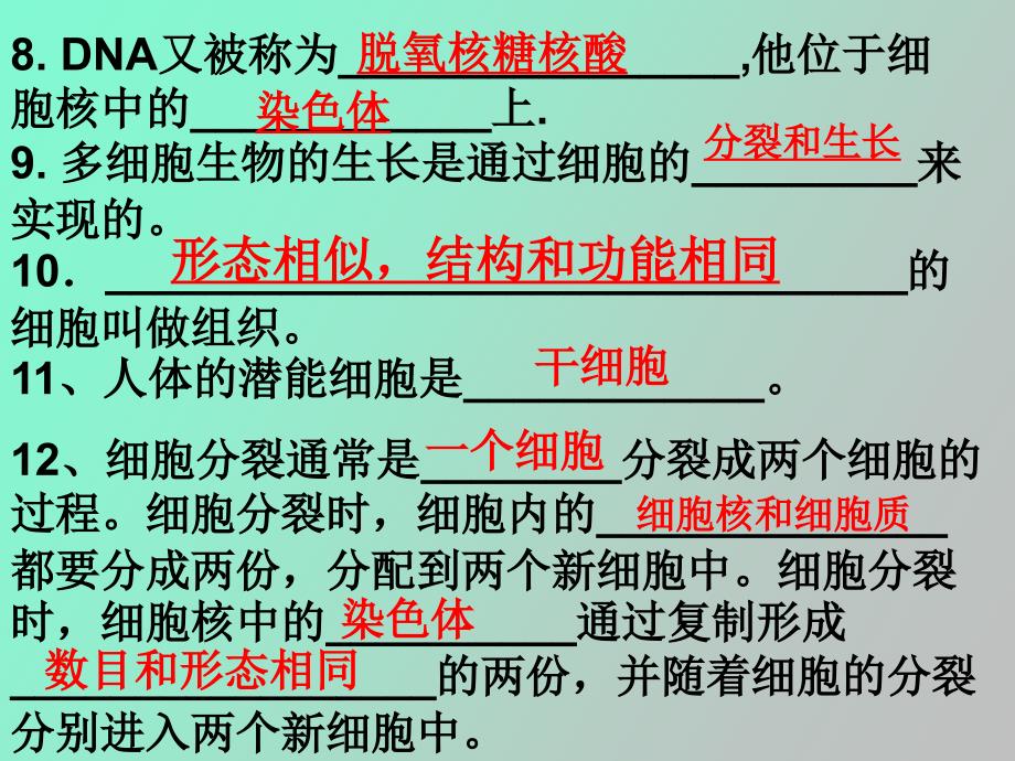 生物复习提纲_第3页