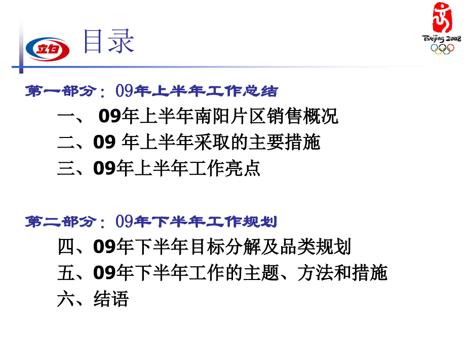 立白河南南阳片区述职报告_第2页