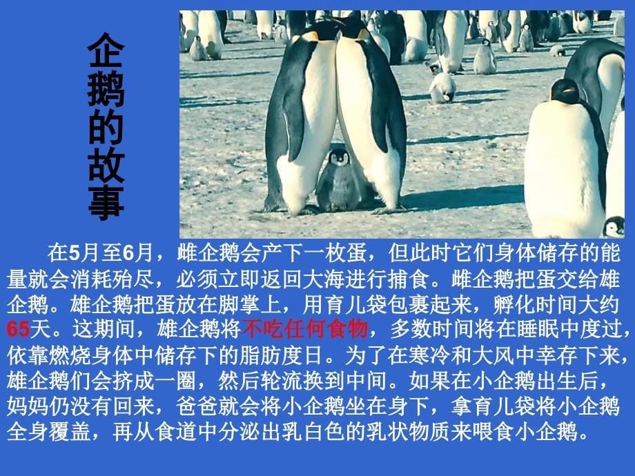 珍爱生命健康成长主题班会共43张PPT2_第5页