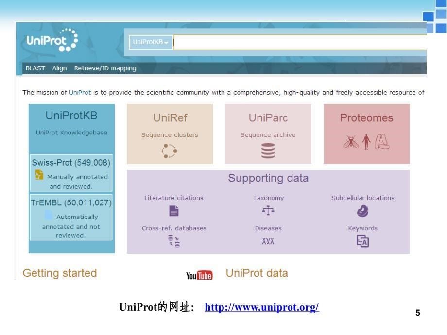 实验四蛋白质序列、结构的获取和显示_第5页