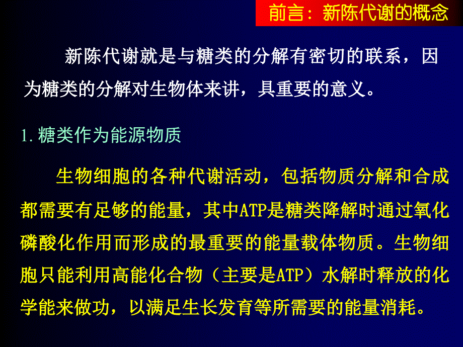 糖代谢新陈代谢概述_第4页