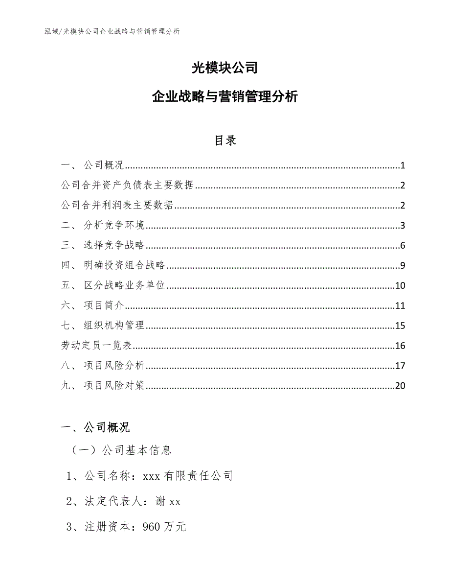 光模块公司企业战略与营销管理分析（参考）_第1页