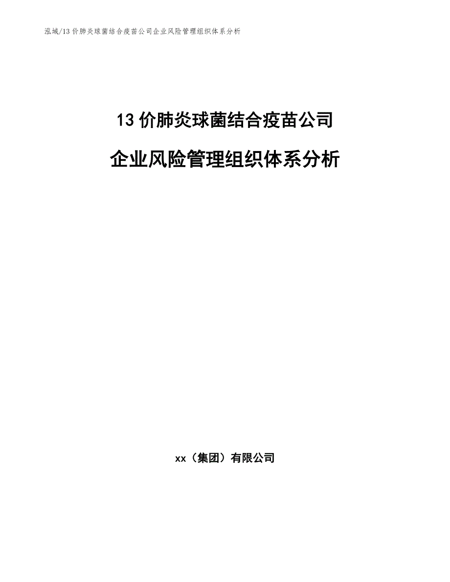 13价肺炎球菌结合疫苗公司企业风险管理组织体系分析_第1页