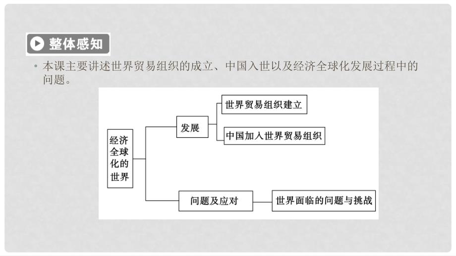 高中历史 专题8 当今世界经济的全球化趋势 第3课 经济全球化的世界课件 人民版必修2_第3页