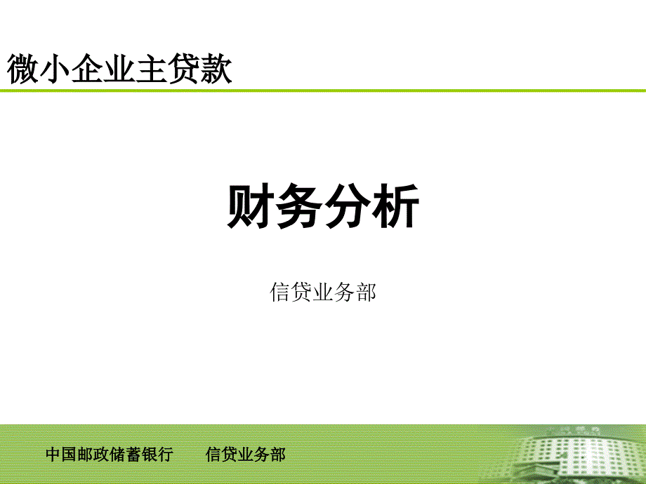 某银行微小企业主贷款-财务分析_第1页