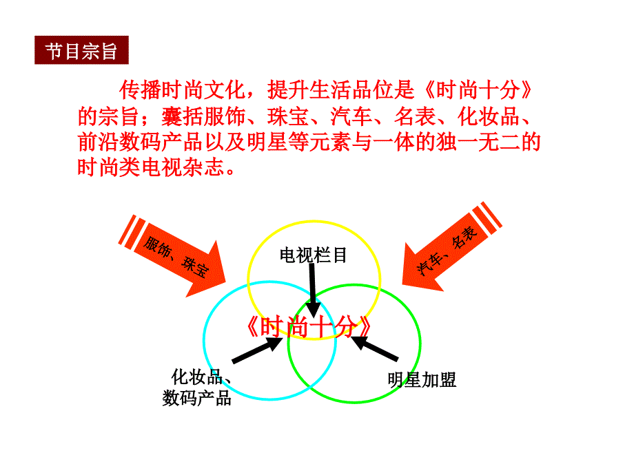 旅游卫视时尚十分栏目电视杂志策划方案_第4页