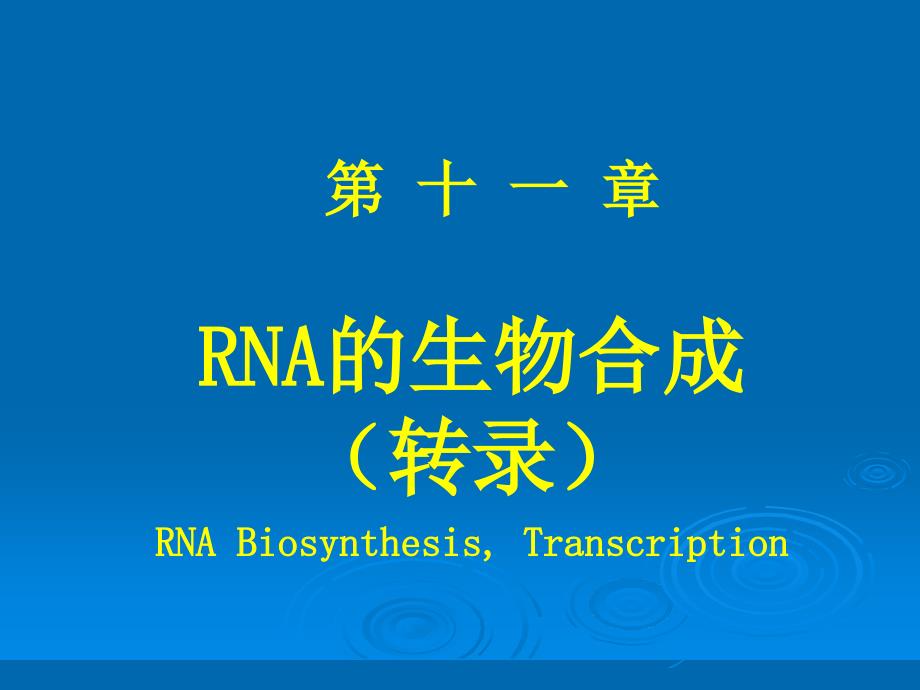 生物化学之RNA的生物合成.ppt_第1页