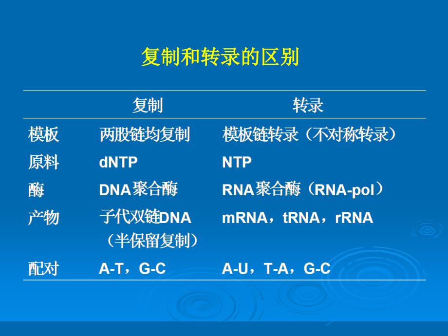 生物化学之RNA的生物合成.ppt_第4页