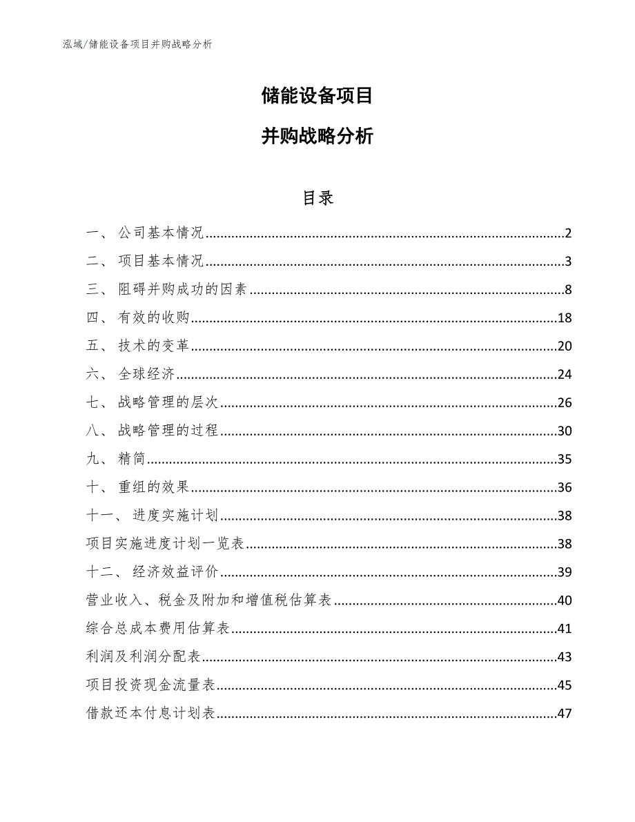 储能设备项目并购战略分析（范文）_第1页