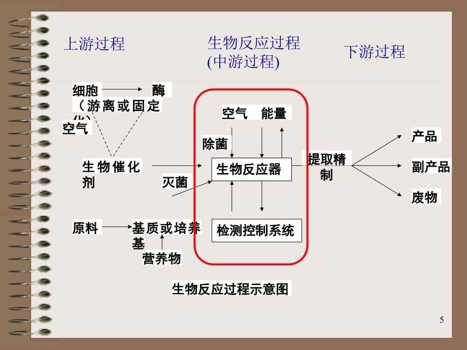 生物化学工程_第5页