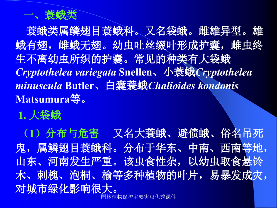 园林植物保护主要害虫优秀课件_第4页