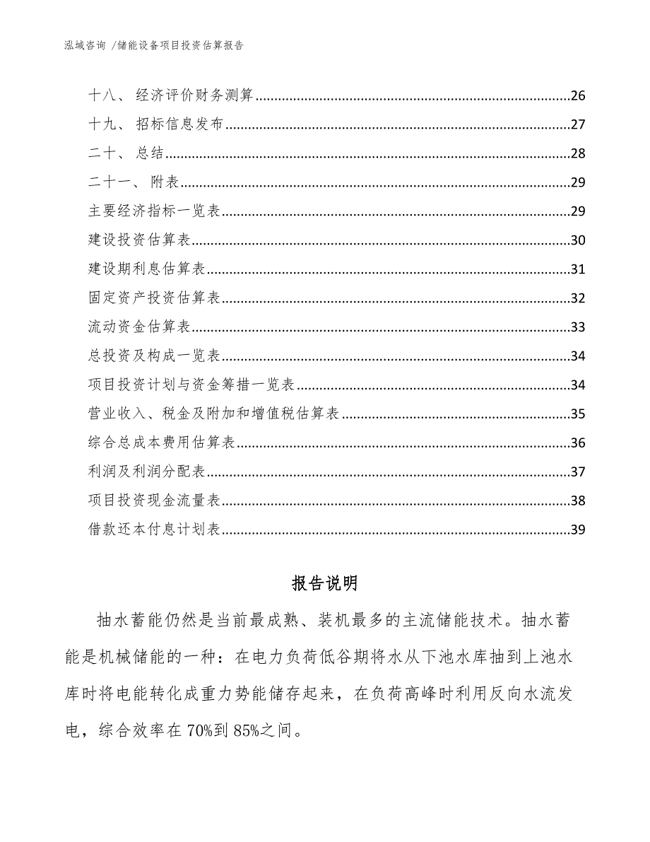 储能设备项目投资估算报告模板范文_第2页