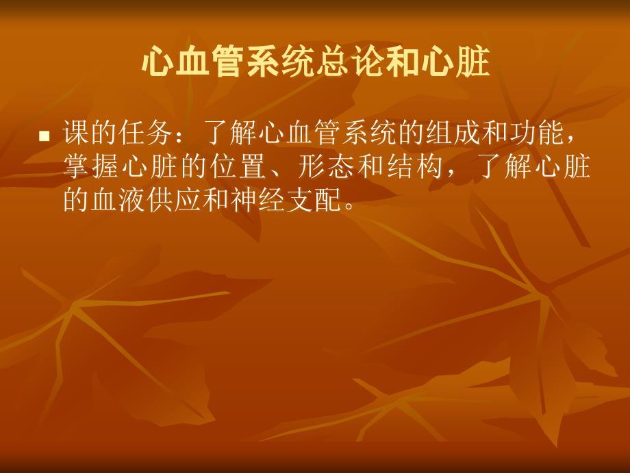 心血管系统解剖学.ppt