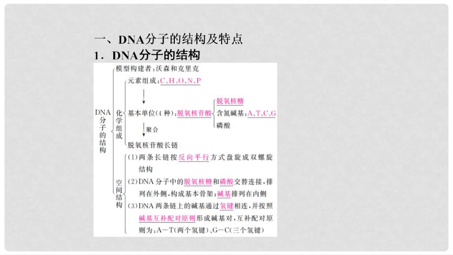 高考生物一轮复习 第20讲 DNA分子的结构和复制、基因的本质课件_第4页