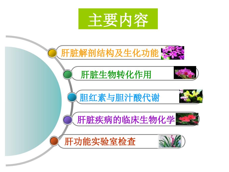 最新肝脏疾病的生物化学诊断ppt课件._第2页