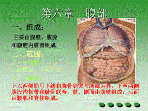 2022年腹部检查精选完整版