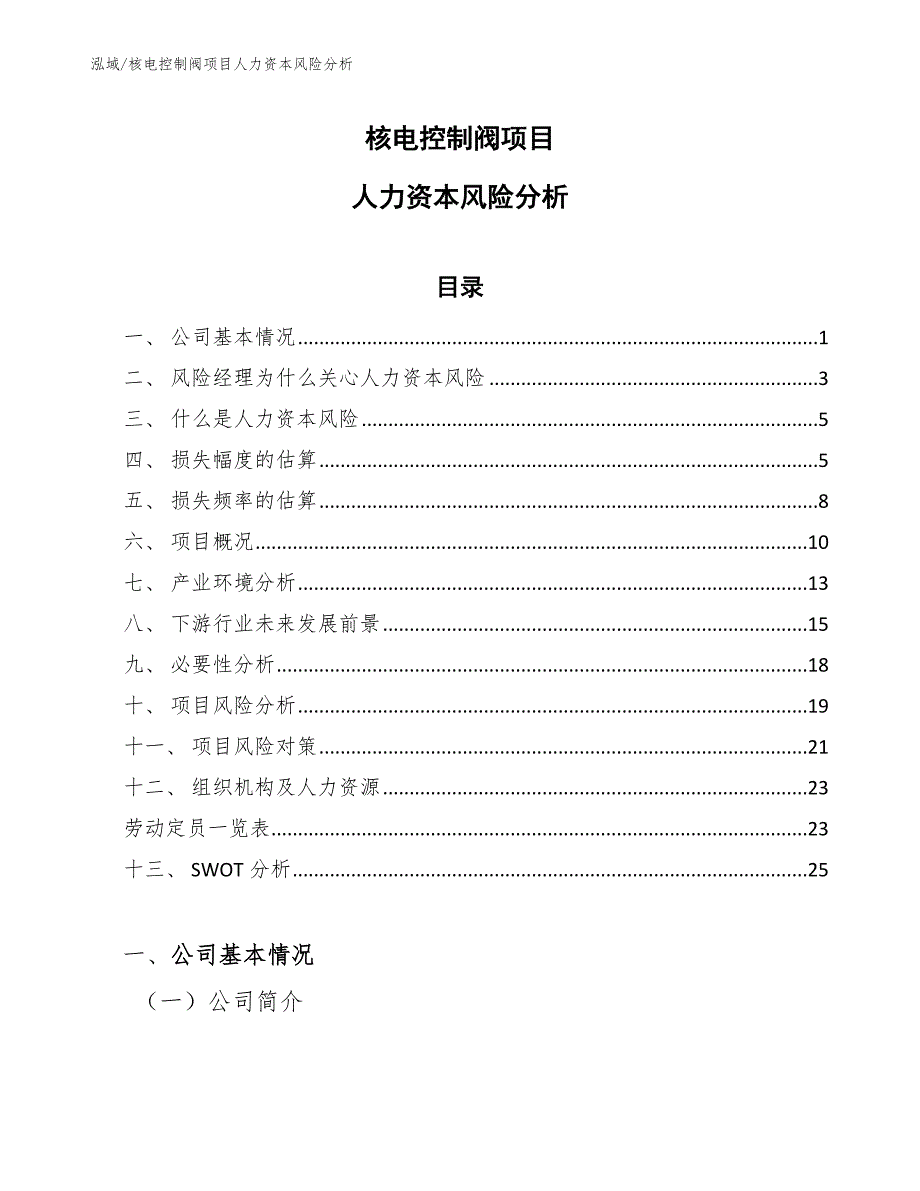 核电控制阀项目人力资本风险分析_参考_第1页