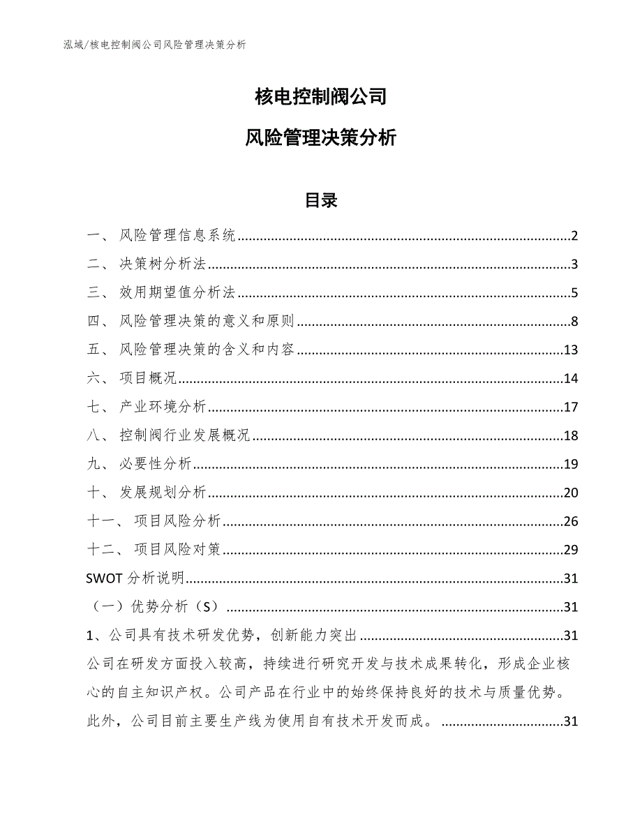 核电控制阀公司风险管理决策分析_第1页