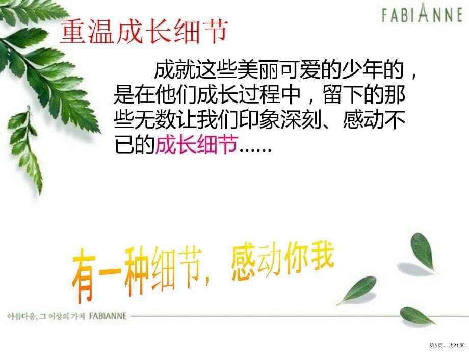 名著导读《草房子》教学课件_第5页