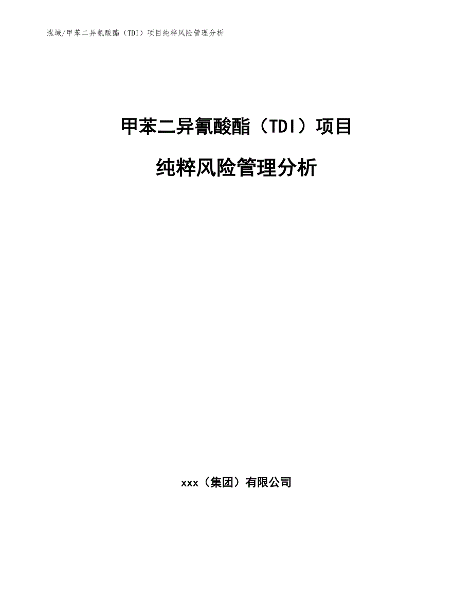 甲苯二异氰酸酯（TDI）项目纯粹风险管理分析_第1页