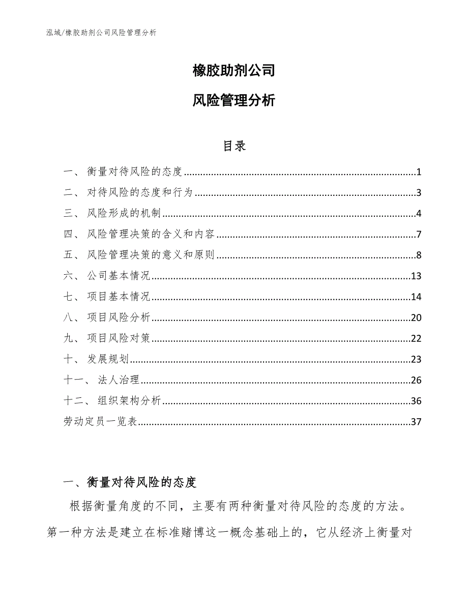 橡胶助剂公司风险管理分析_参考_第1页