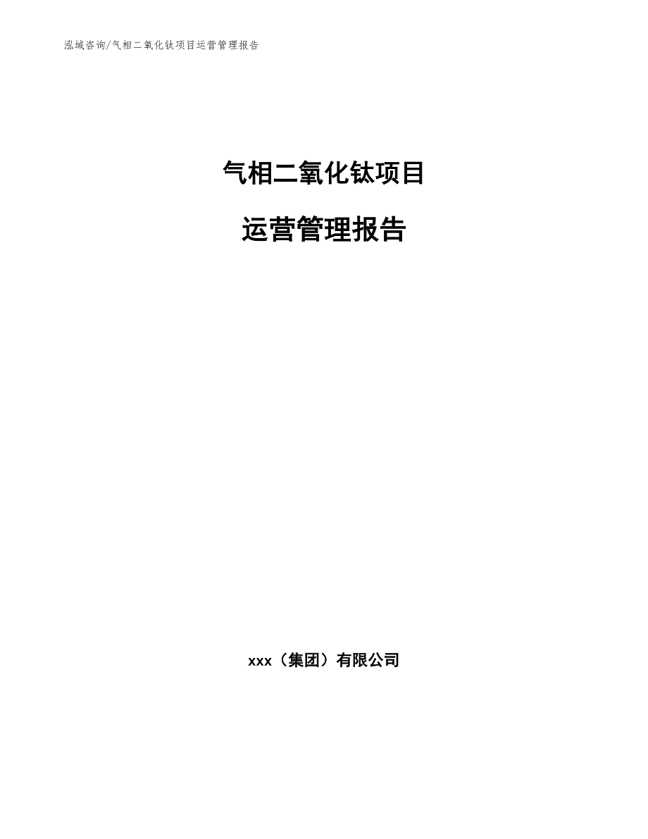 气相二氧化钛项目运营管理报告【参考】_第1页