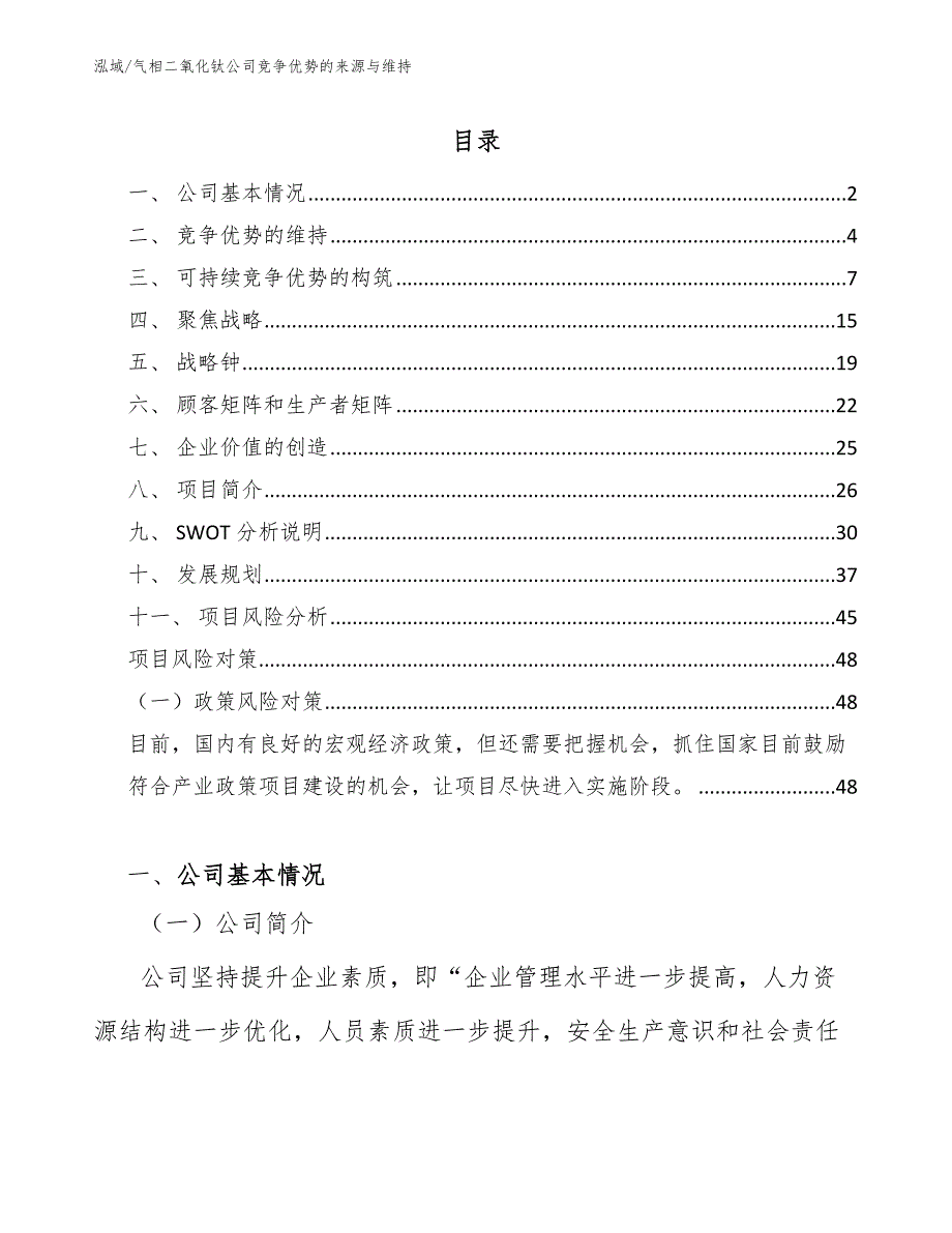 气相二氧化钛公司竞争优势的来源与维持（范文）_第2页