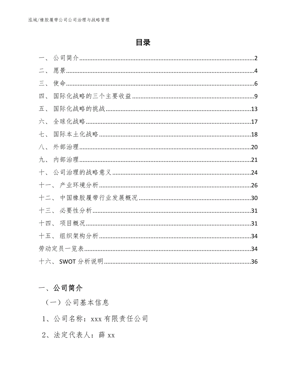 橡胶履带公司公司治理与战略管理_范文_第2页