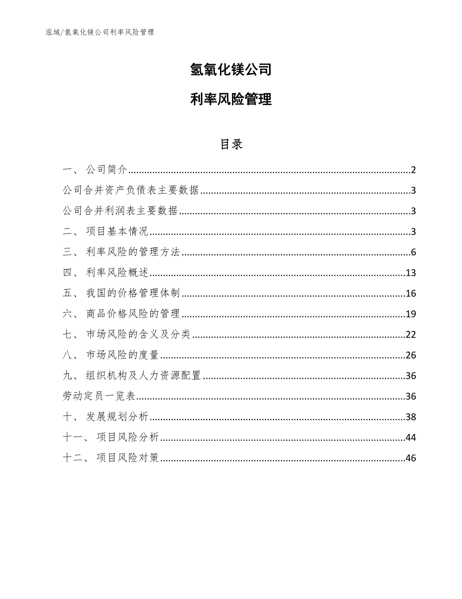 氢氧化镁公司利率风险管理（范文）_第1页